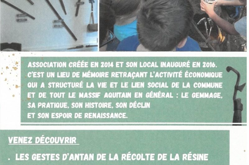 SKONICA MIN26040915130