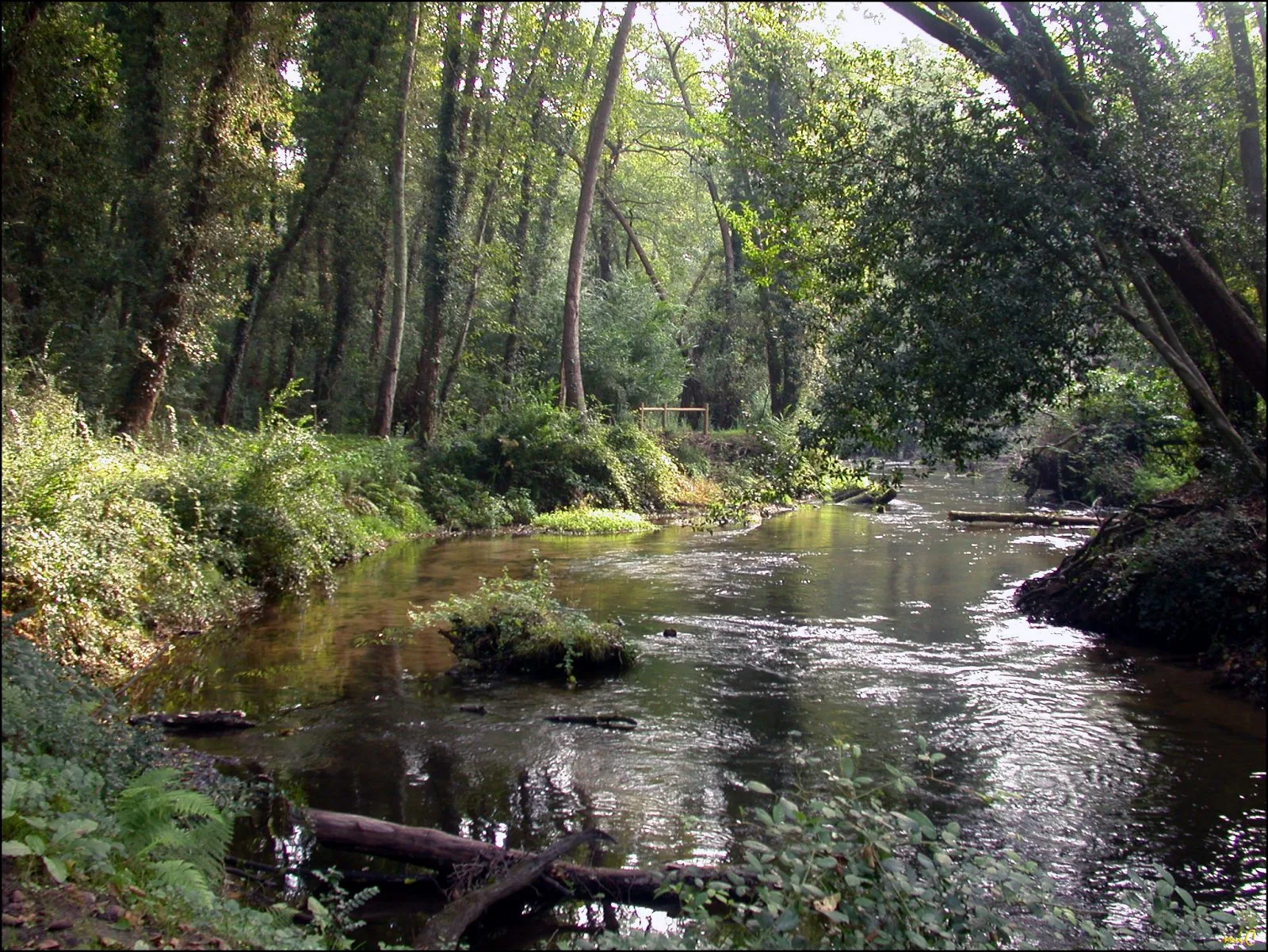 A Mézos, sentier d’interprétation du Courlis