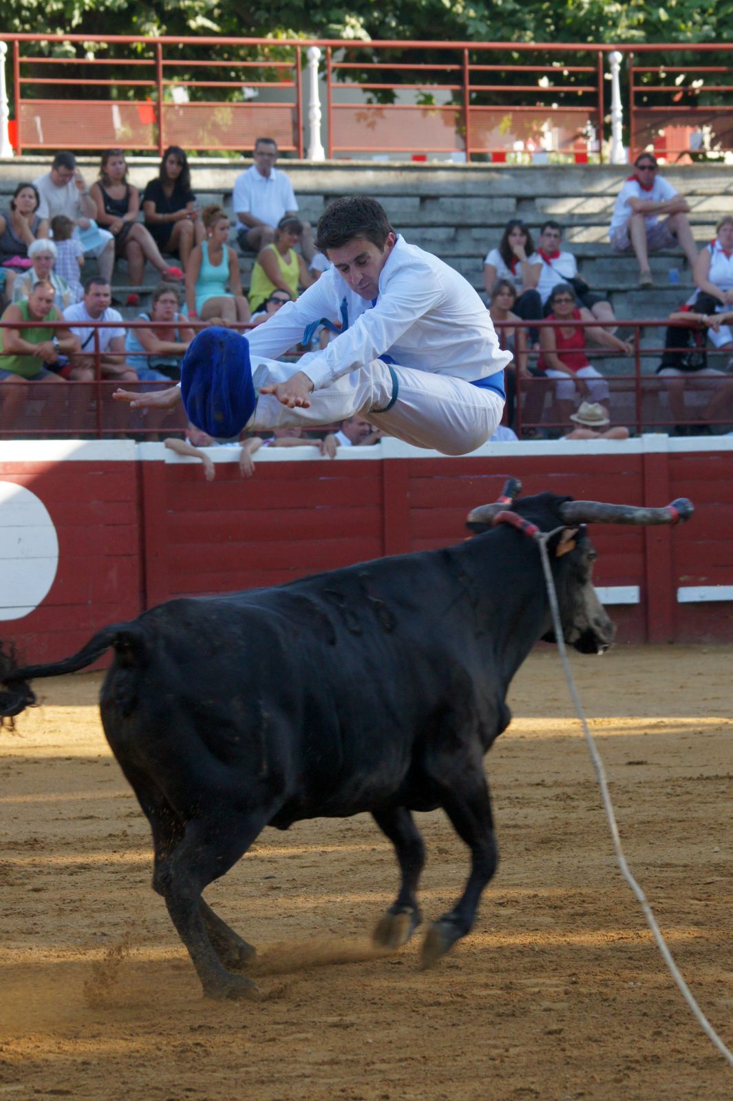 Saut – Copyright Céline LAFFARGUE