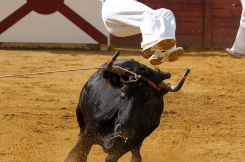 Saut périlleux vrillé – Copyright Céline LAFFARGUE