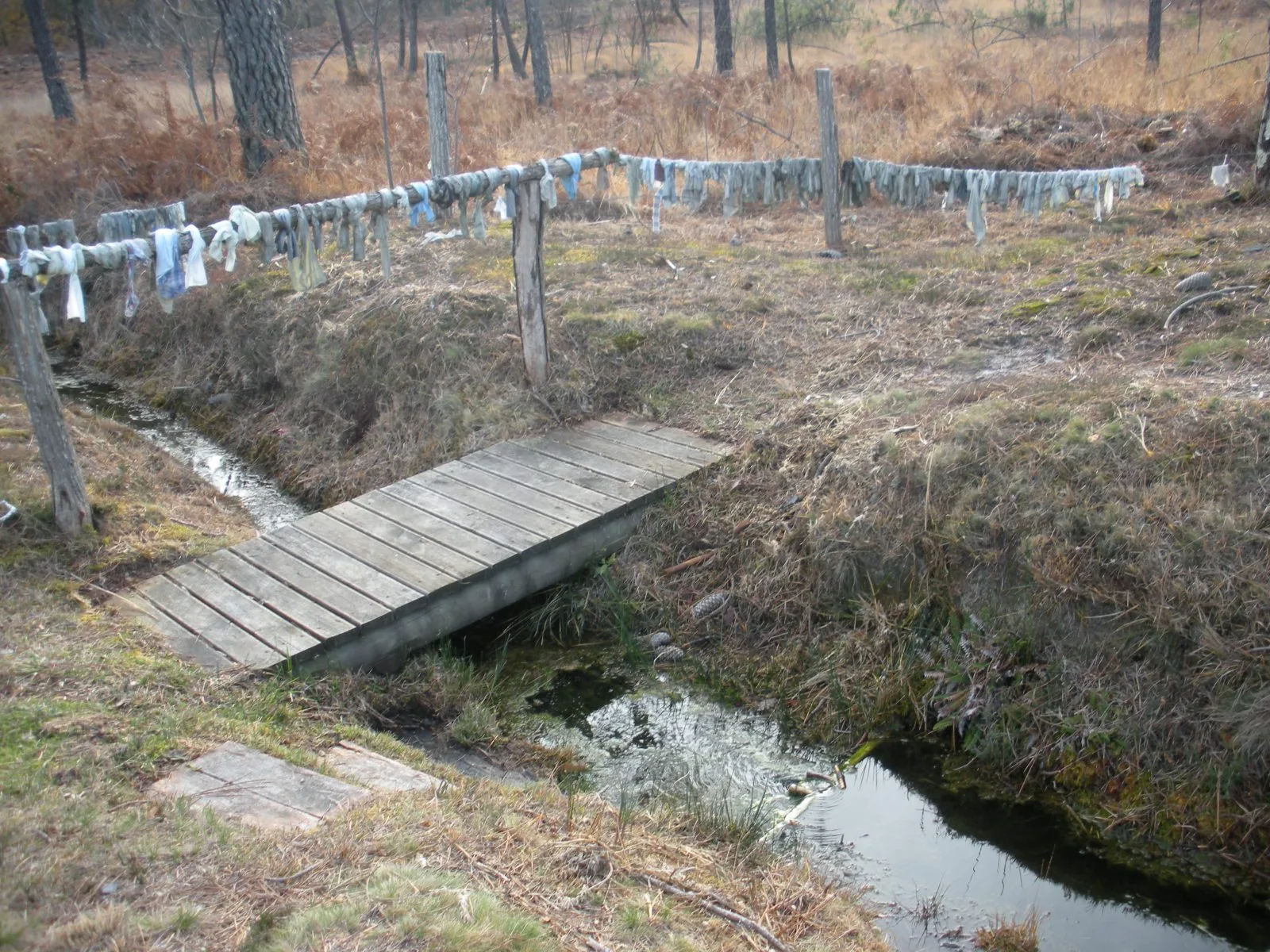 Circuit des sources en Pays Morcenais Ousse-Suzan Saint Girons