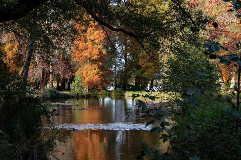 Soustons pointe_des_vergnes_soustons_automne_11.2024©Landes Atlantique Sud-3 – V2