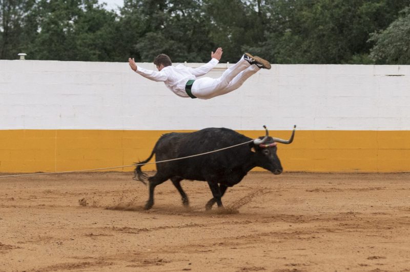 Spectacle El Campo sauteur