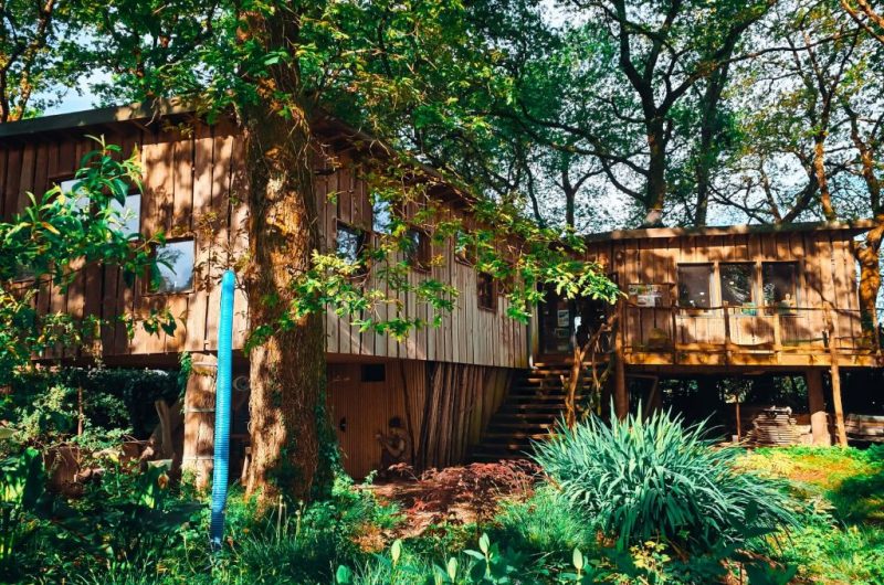 Sur-un-livre-perche-3-Saubion-Landes-Atlantique-Sud