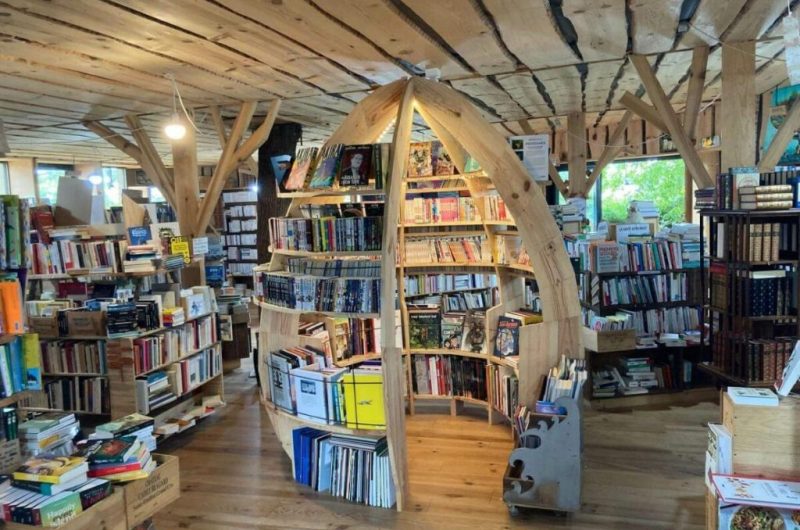 Sur-un-livre-perche-Saubion-Landes-Atlantique-Sud