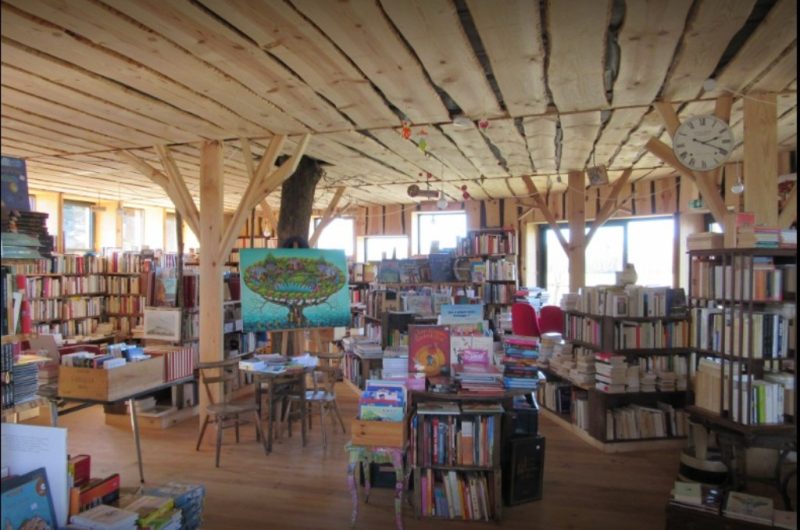 Sur un livre perché_Saubion_Landes Atlantique Sud