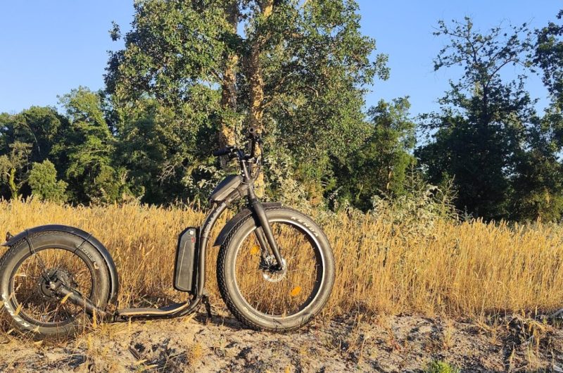 Tchanquaroue-ecletrique-7