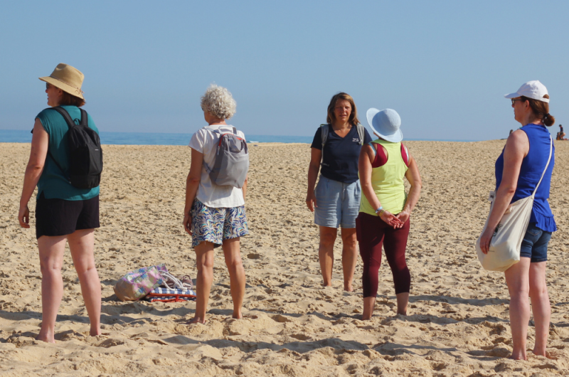 redim agenda – 5