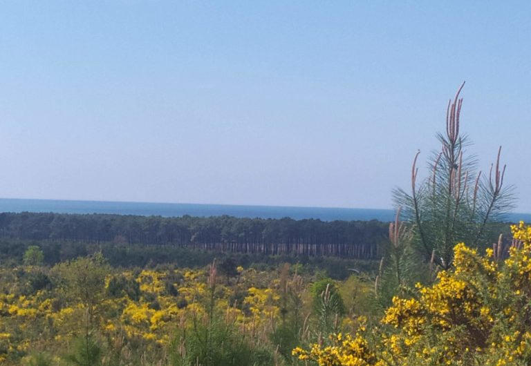 A Vielle-Saint-Girons, circuit des Bareuyes