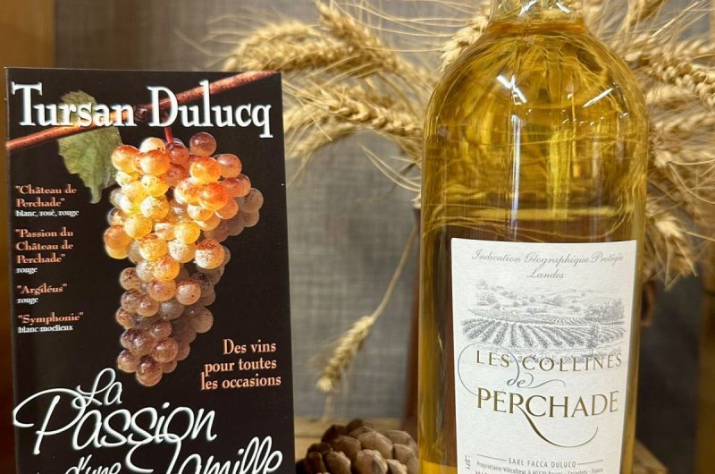 VSG_La Maison des Paysans Landais (10)