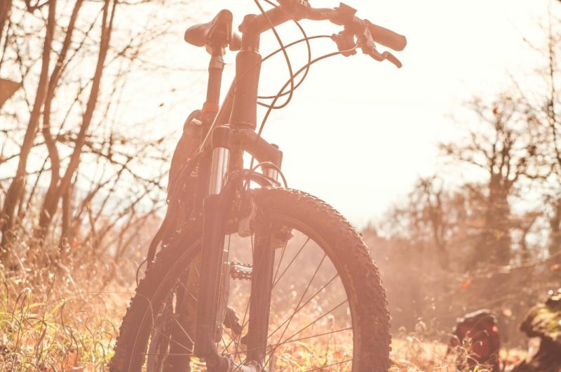 Parcours VTT à la découverte de la Vallée du Kiwi