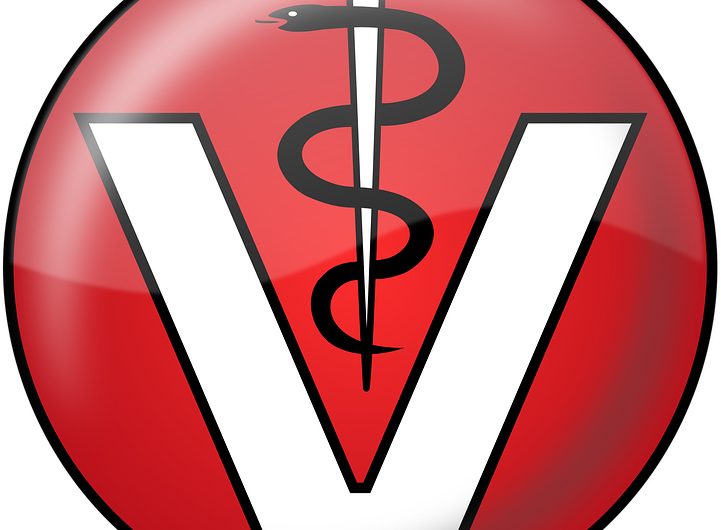 Veterinaire-op-2