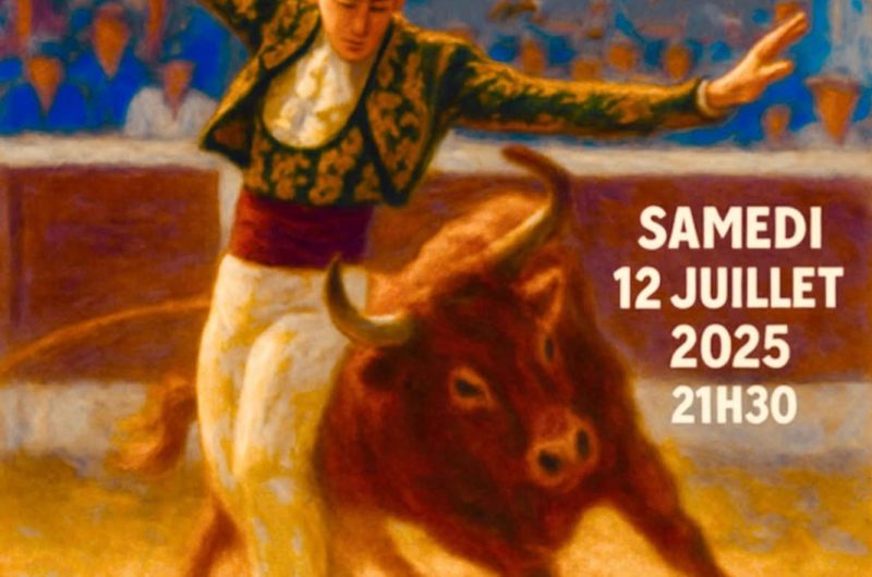 Villeneuve de Marsan – Course Landaise – 12 Juillet