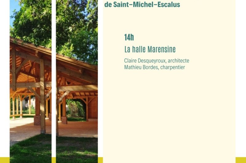 Visite archi affiche St Michel Escalus