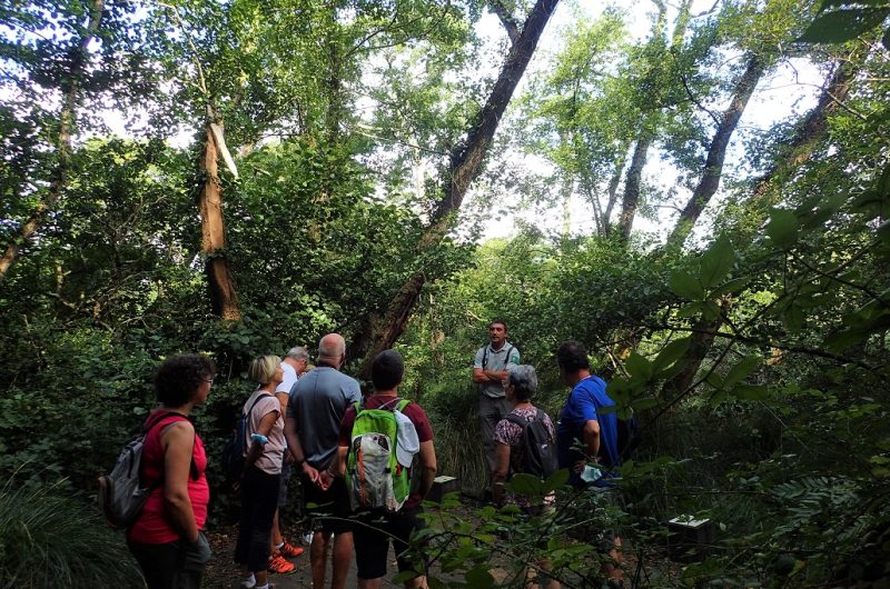 Visite guidée réserve naturelle courant Huchet OTI Landesatlantiquesud Moliets et Maa