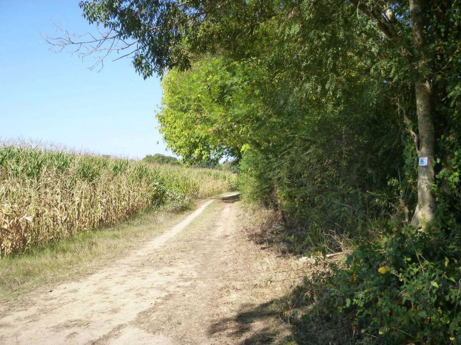Sentier de l’Adour, de Dax à Saint-Vincent-de-Paul