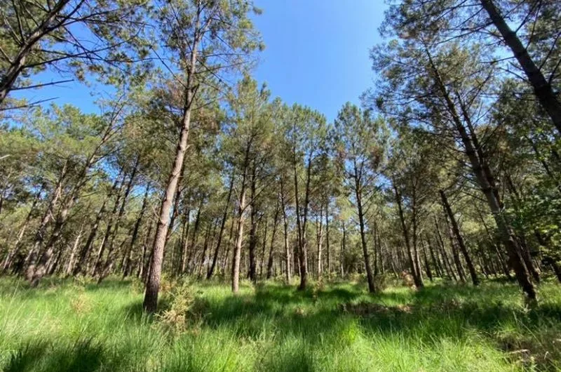 Sentier pédestre Lou caminot tranquilot