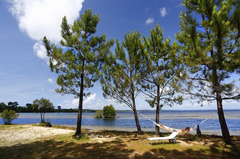 bisca-lac-plage-lacustre