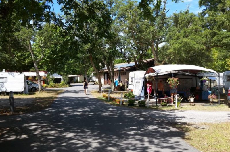 camping les chenes