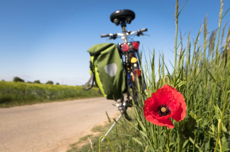 cycling-5178398_1920