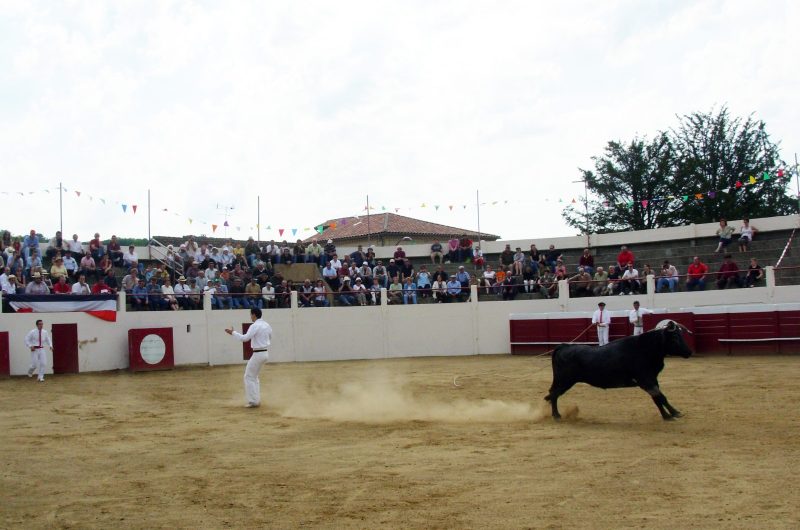 découvrir la course landaise de l’intérieur-r