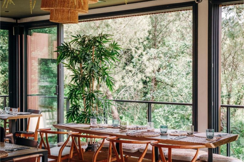 el-nido-restaurant-vue-foret-midi-dejeuner-hossegor-1-2