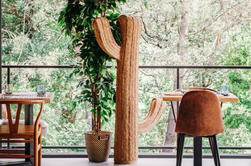 OT Hossegor – EL NIDO – el-nido-salle-vitree-restaurant-brasserie-dejeuner-nature-calme-formule-midi-vue-foret-hossegor-9