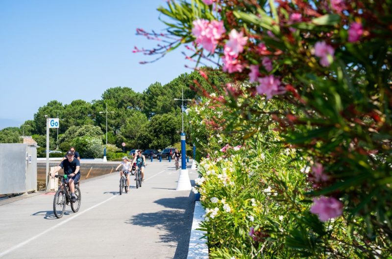 fleurs_vélo_capbreton @landes atlantique sud