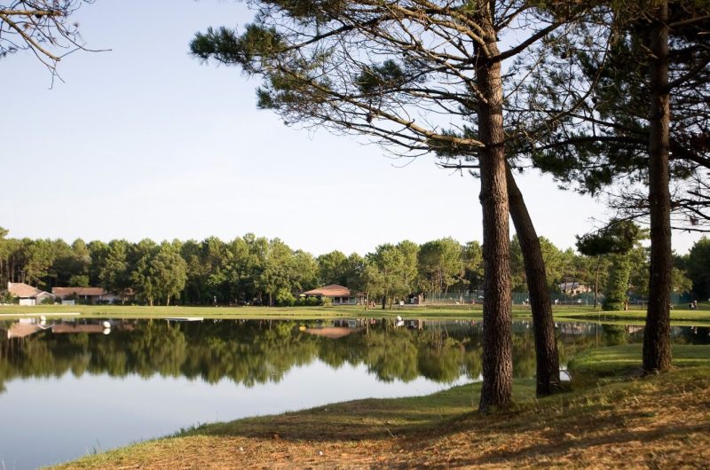 golf-pinsolle