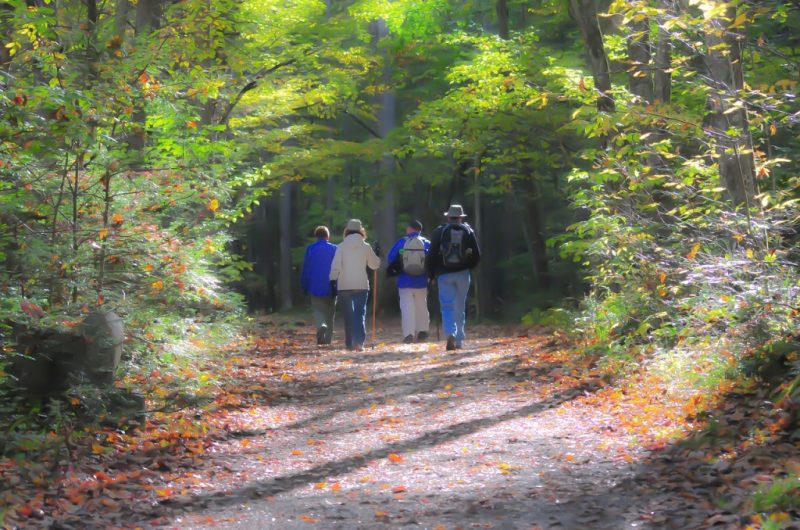 hiking-1232453-1280-2