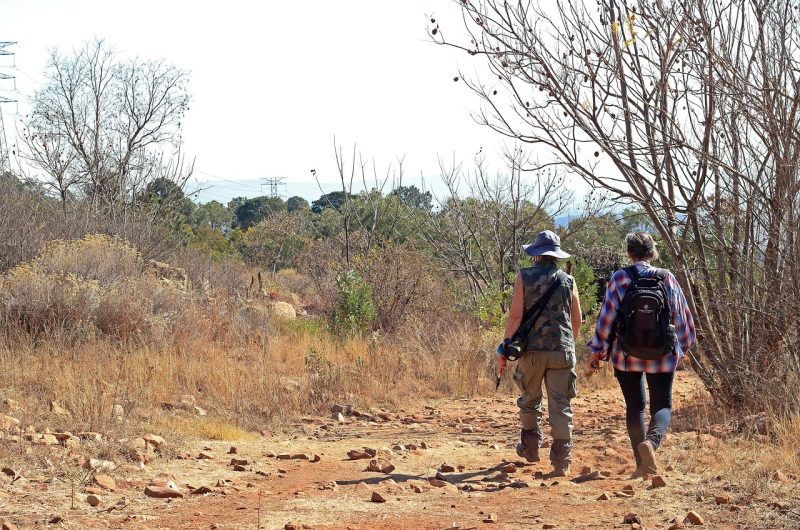 hiking-trail-7281447_1280