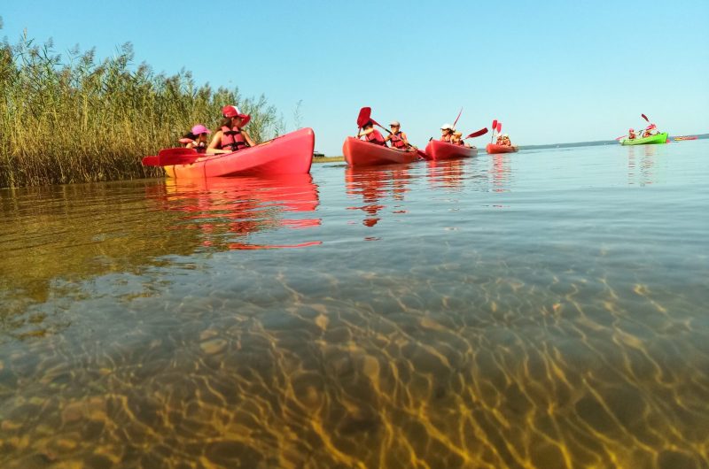 kayak