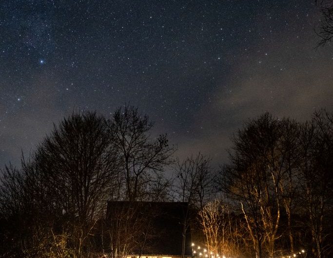 landifornia Lodges Etang de nuit ©mosu.studio -V2