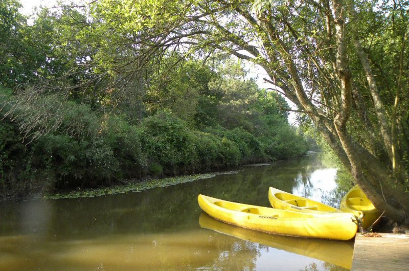 le pins bleus marmotel_Canoë_03