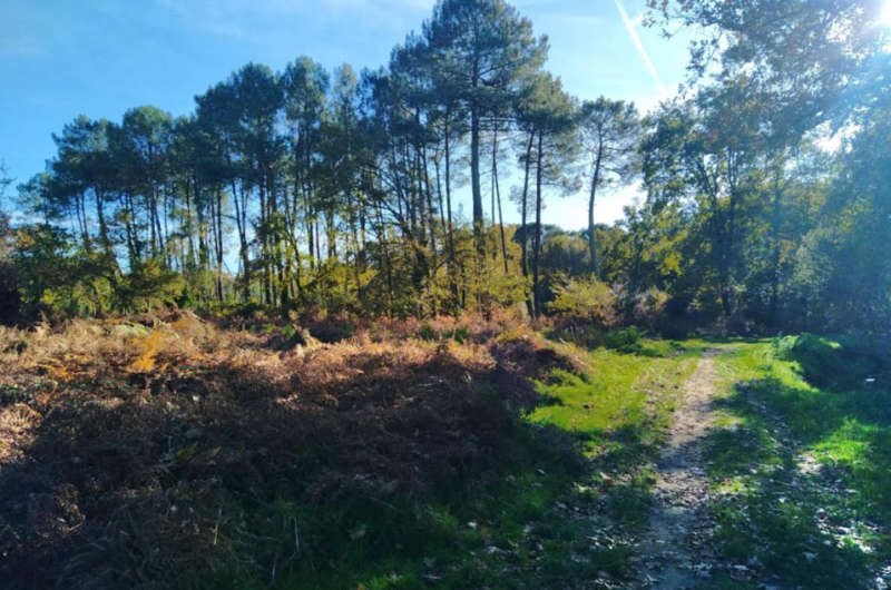 marche-et-respire-biscarrosse