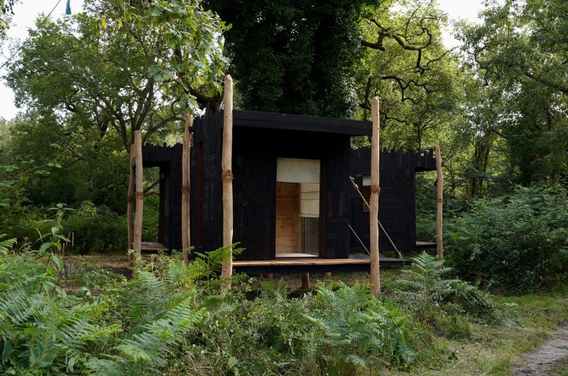 oeuvre-29-Sara-Favriau–De-l-aptitude-a-cueillir-un-pissenlit-fermement–2024.-Escales-Atypiques.-Commissariat-et-production-F.-Latherrade-Zebra3.-credit-photo-B.-Fecchio–4–wev-2