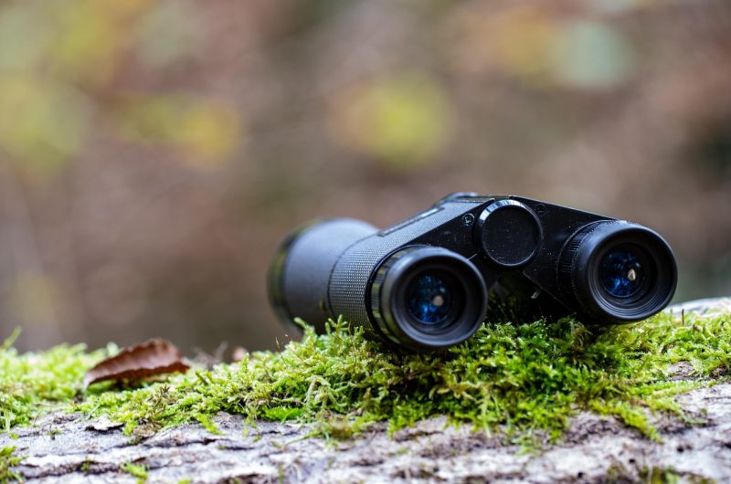 pat_photographies-binoculars-5724502_1280