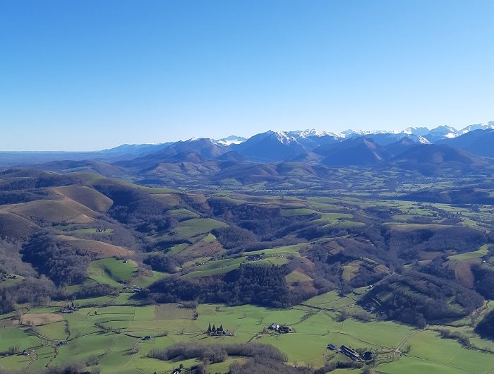 pyrenees 2
