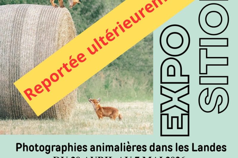 EXPO QUENTIN BIGNEBAT FESTIPLANTES – 2