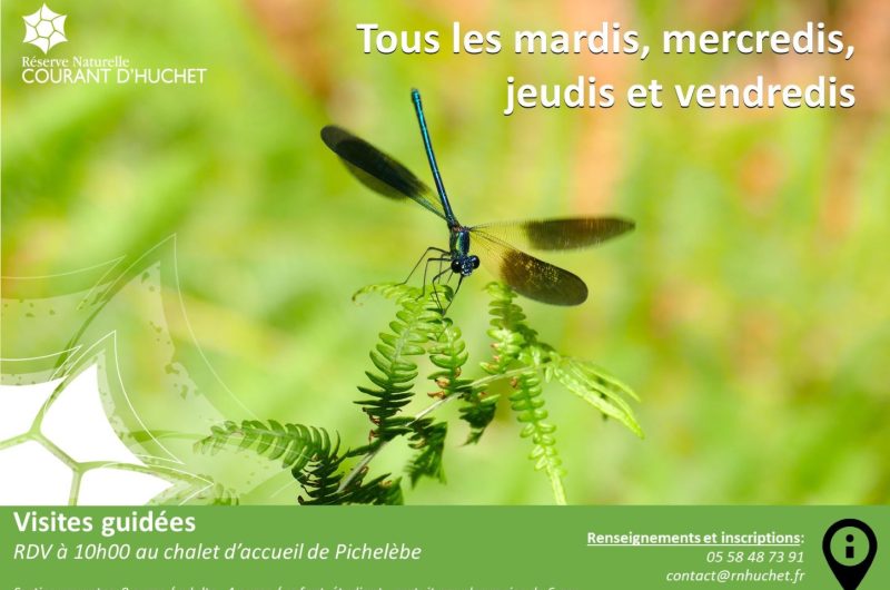 réserve Huchet Visites guidées – Eté – 2026 Moliets et maa OTI Landes Atlantique Sud