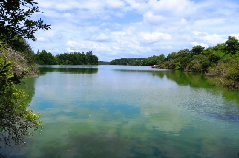 reserve-naturelle-etang-noir-seignossetourisme–16-