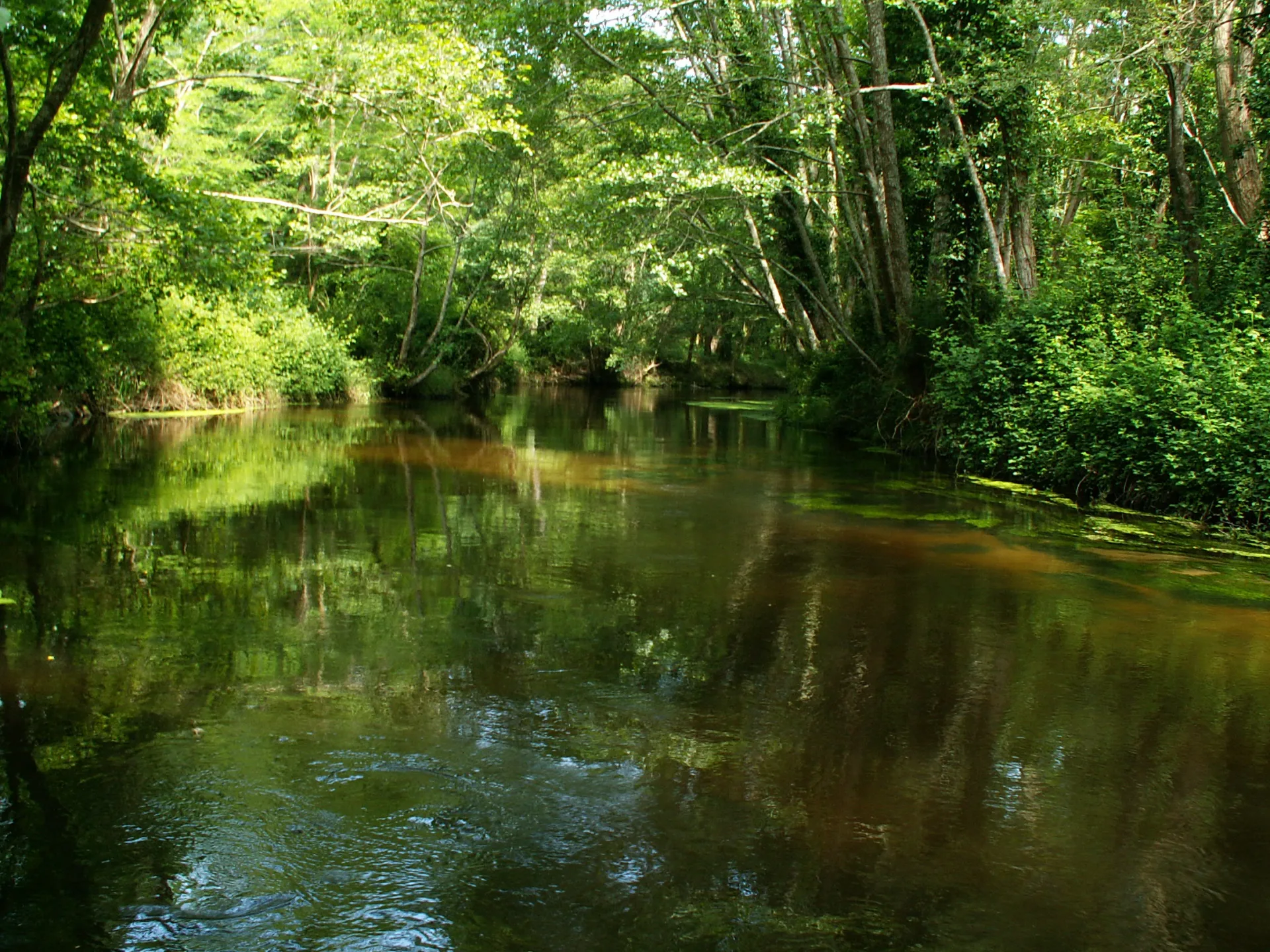 A Mézos, sentier du Courlis