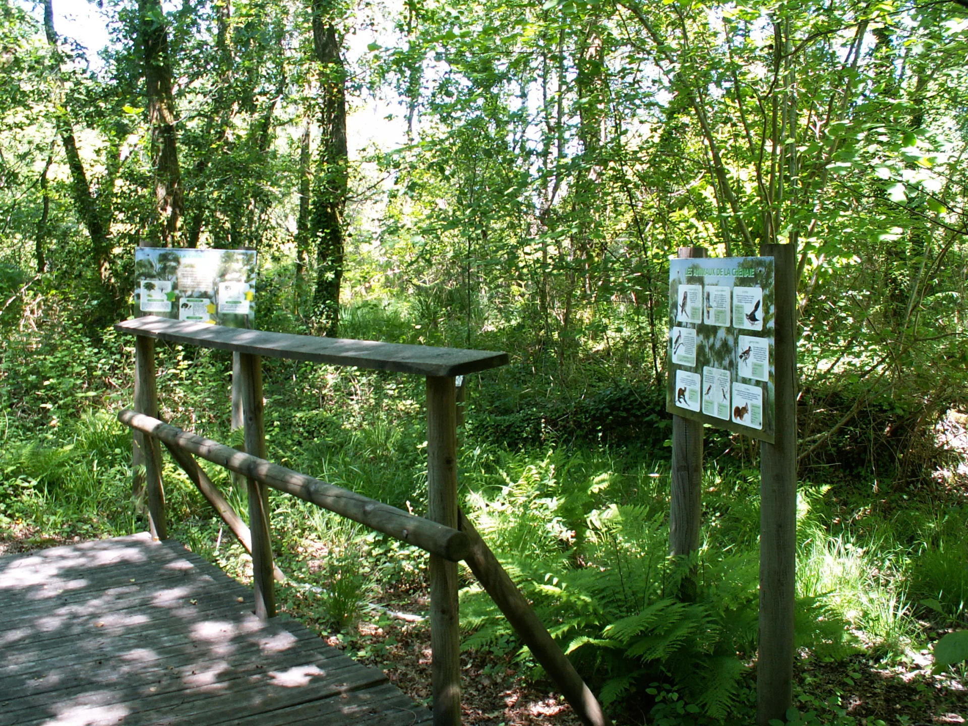 A Mézos, sentier d’interprétation du Courlis