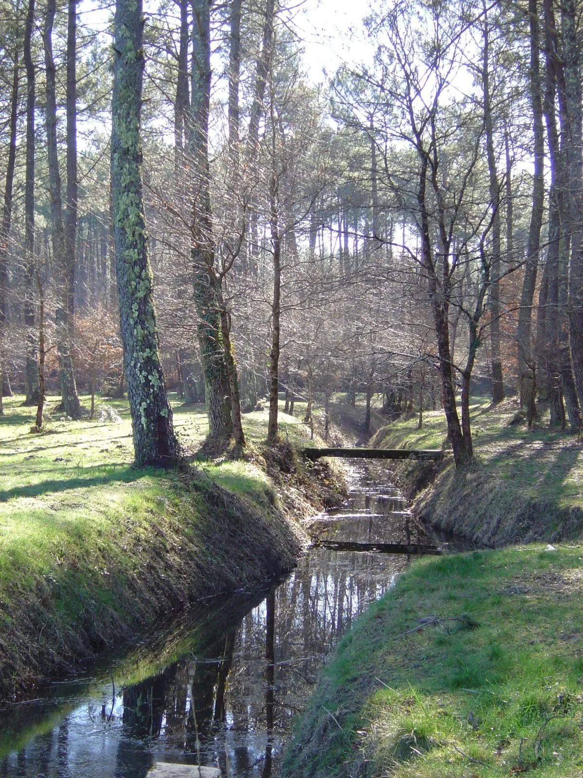 A Bias, sentier pédestre “L’Etang du Bourg Vieux”