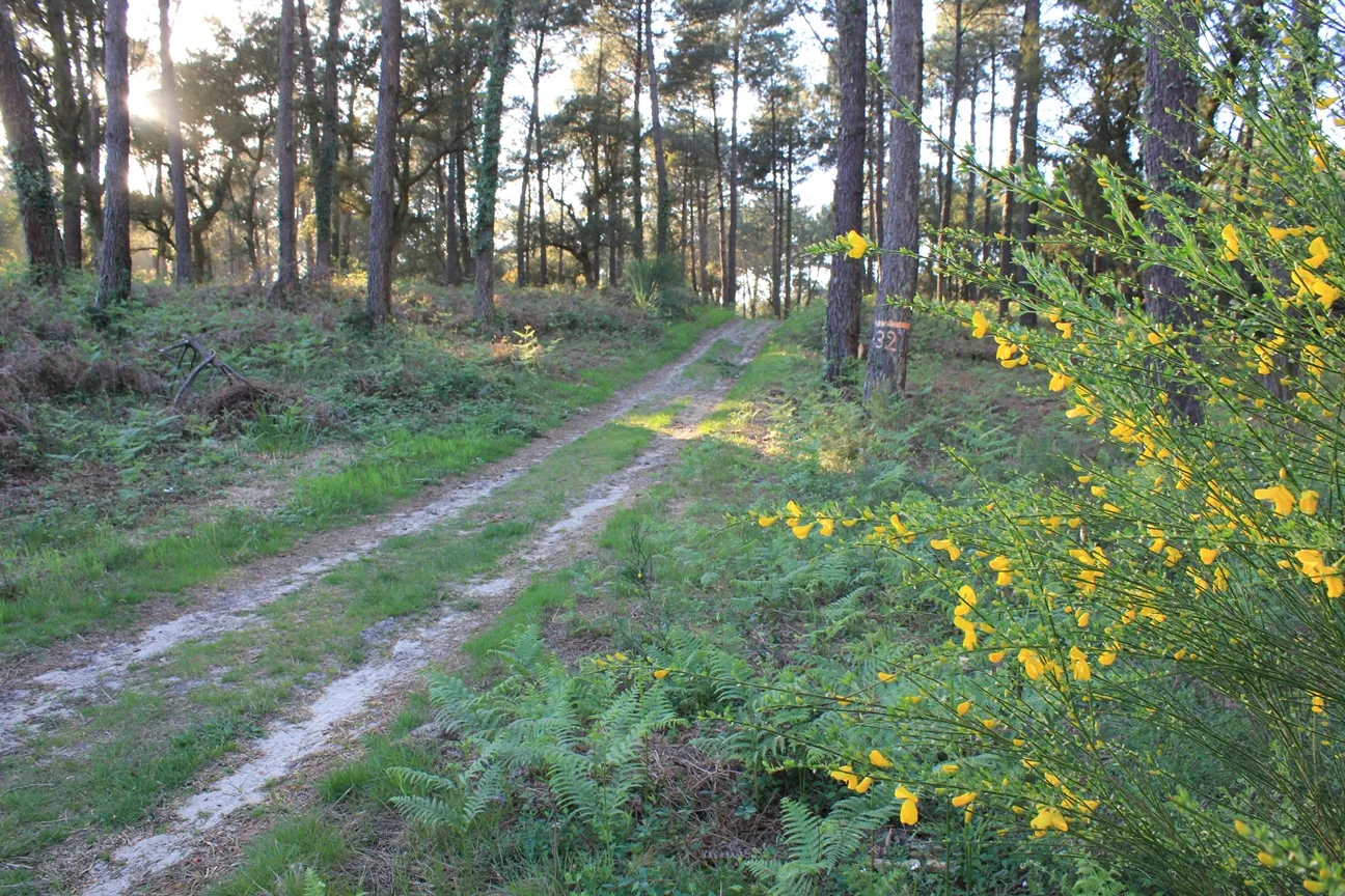 Le circuit orange de la palombière