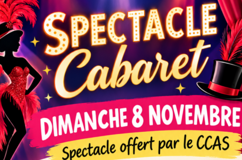 Retouches visuels Tourinsoft animations – spectacle-cabaret-senior