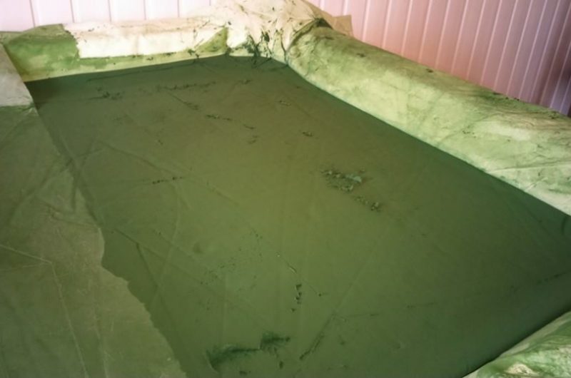 spiruline-2-2