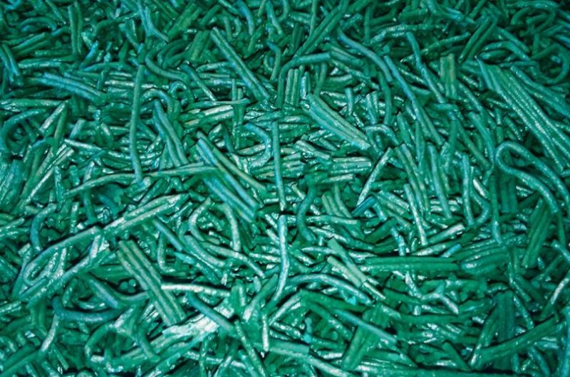 spiruline-3