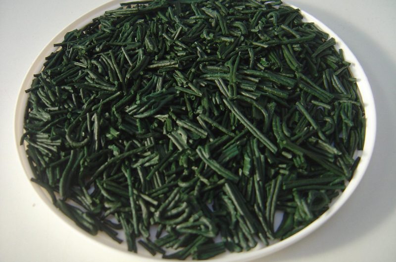 spiruline-brindilles-grand