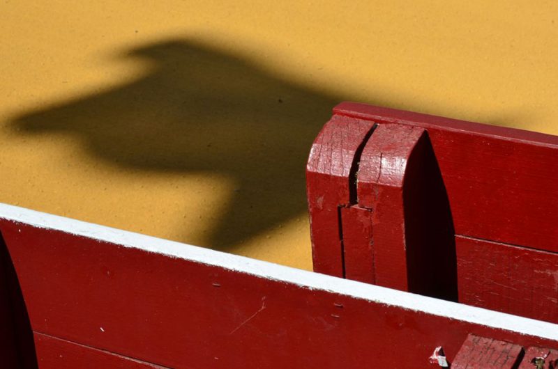 visite-guidée-Dax-corrida